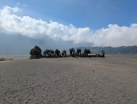 PXL_20250716_062405551.jpg