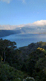 PXL_20250720_091526846.mp4