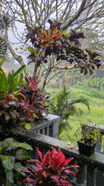 PXL_20250730_020550927.mp4