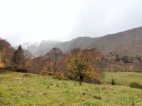 IMG_20251024_135502.jpg